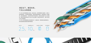 TL-EC600 305米六類非屏蔽網(wǎng)絡(luò)工程線 TP-Link官方網(wǎng)站產(chǎn)品介紹與計(jì)算機(jī)軟件設(shè)計(jì)應(yīng)用